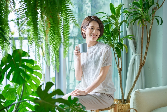 観葉植物に囲まれた部屋でお茶を飲む女性の写真